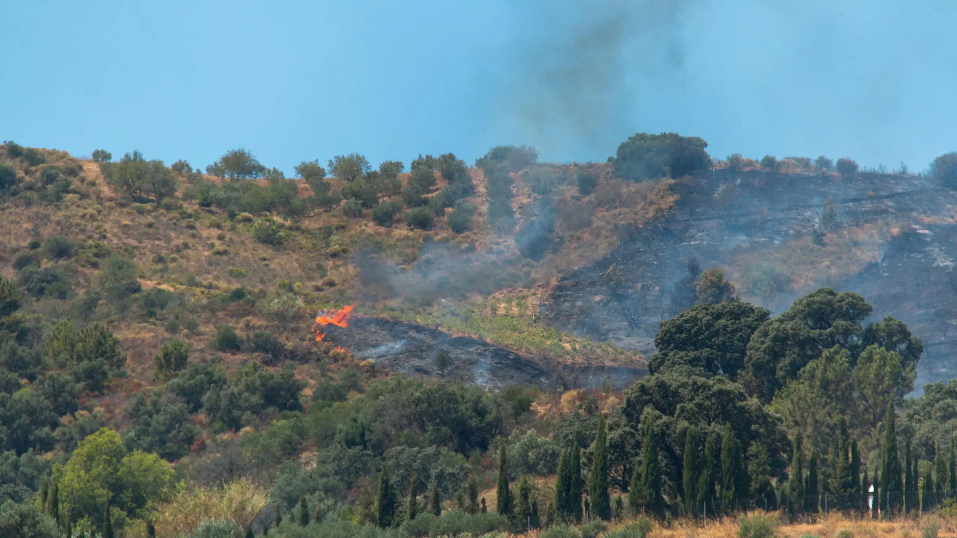 El incendio en Almu&ntilde;&eacute;car (Granada)