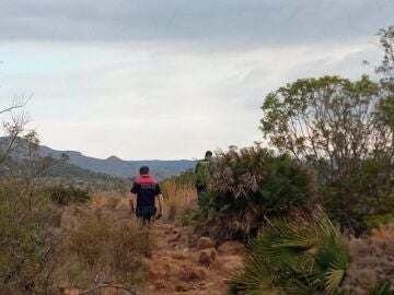 Operativo de búsqueda para encontrar al toro desaparecido en Almenara