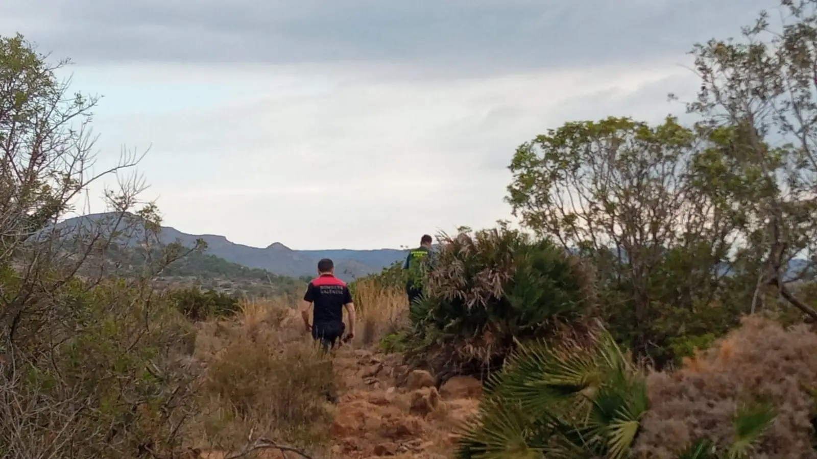 Operativo de búsqueda para encontrar al toro desaparecido en Almenara Dispositivo de búsqueda del toro desaparecido en Almenara (Castellón)AYUNTAMIENTO DE ALMENARA15/08/2024