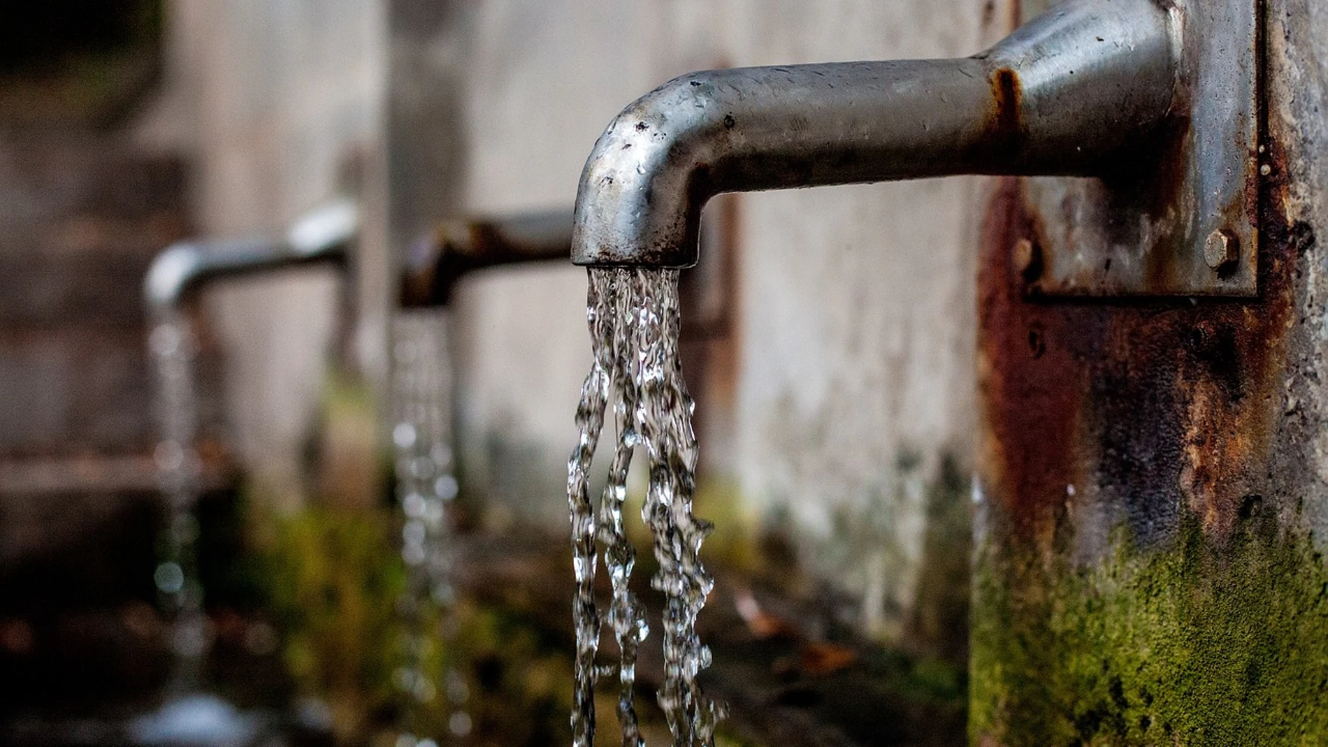 Grifo de agua Grifo de agua