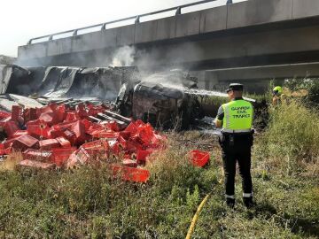 Imágenes del camión tras desprenderse por el puente de la A-12 en Azofra