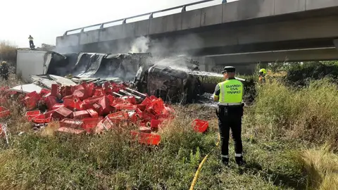 Imágenes del camión tras desprenderse por el puente de la A-12 en Azofra Imágenes del camión tras desprenderse por el puente de la A-12 en Azofra