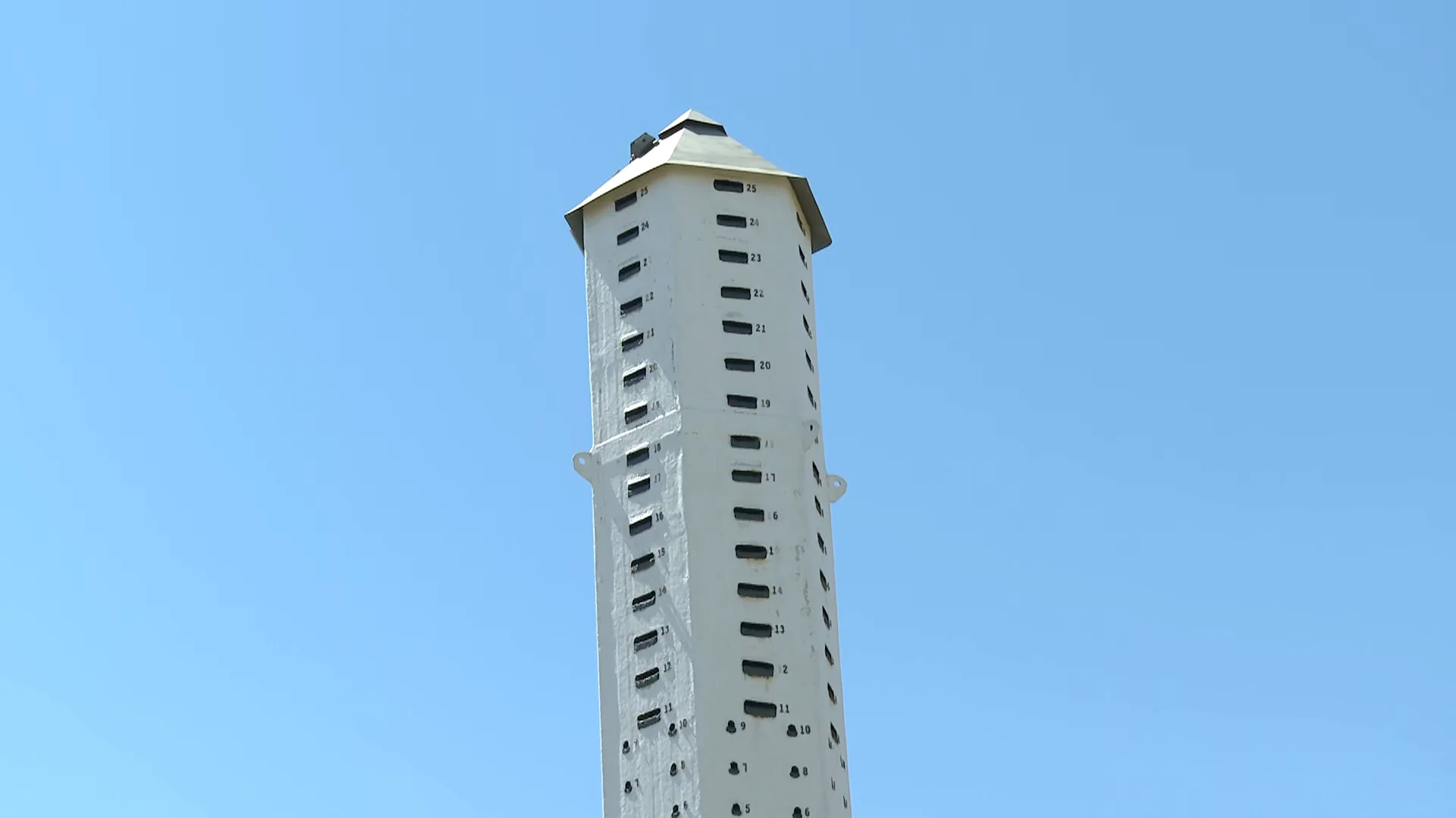 L torre que contiene los nidos de murciélagos Antena3 Noticias