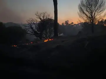 Incendio Andujar Incendio Andujar