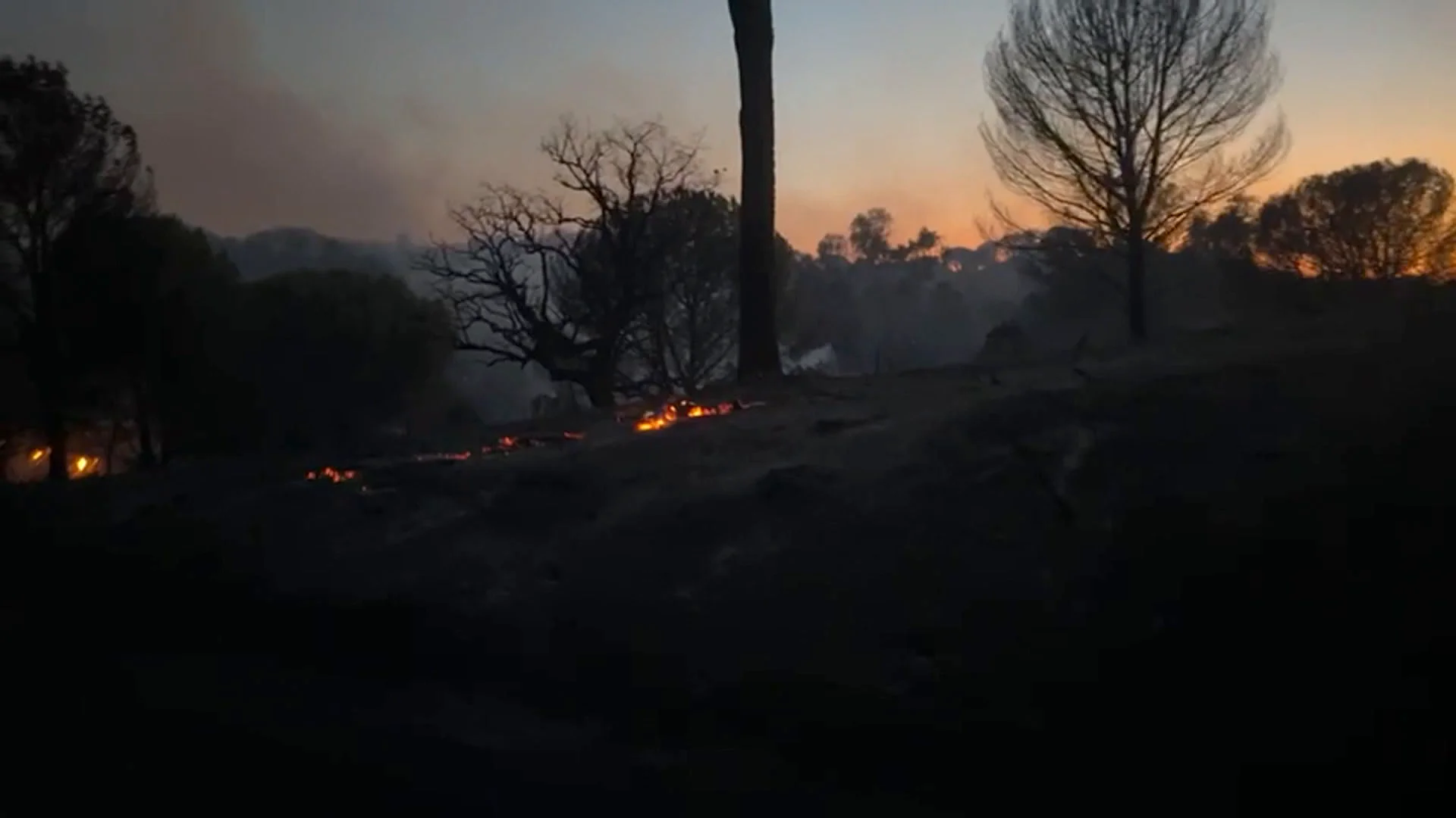 Incendio Andujar Incendio Andujar