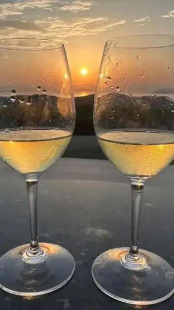 Stories Piqué Stories Piqué