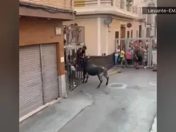 Cogida a un menor Cogida a un menor