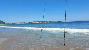 Noja entre dos cañas de pescar Noja entre dos cañas de pescar