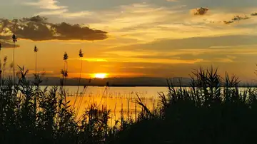 Atardecer en la Albufera de Valencia Atardecer en la Albufera de Valencia
