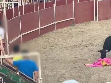 Pradoluengo se divide ante el regreso de los toros: Democracia y tradición en conflicto Pradoluengo se divide ante el regreso de los toros: Democracia y tradición en conflicto
