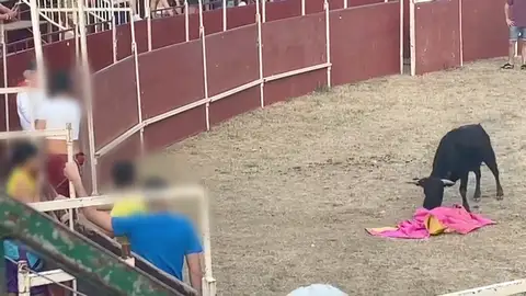 Pradoluengo se divide ante el regreso de los toros: Democracia y tradición en conflicto Antena 3 Noticias