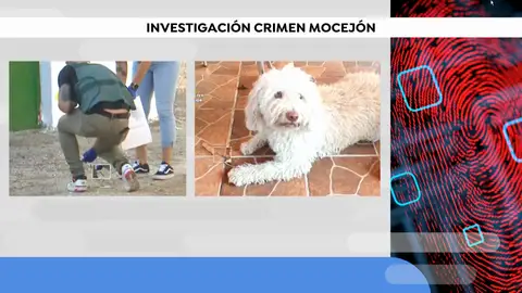 Novedades crimen Mocejón Novedades crimen Mocejón