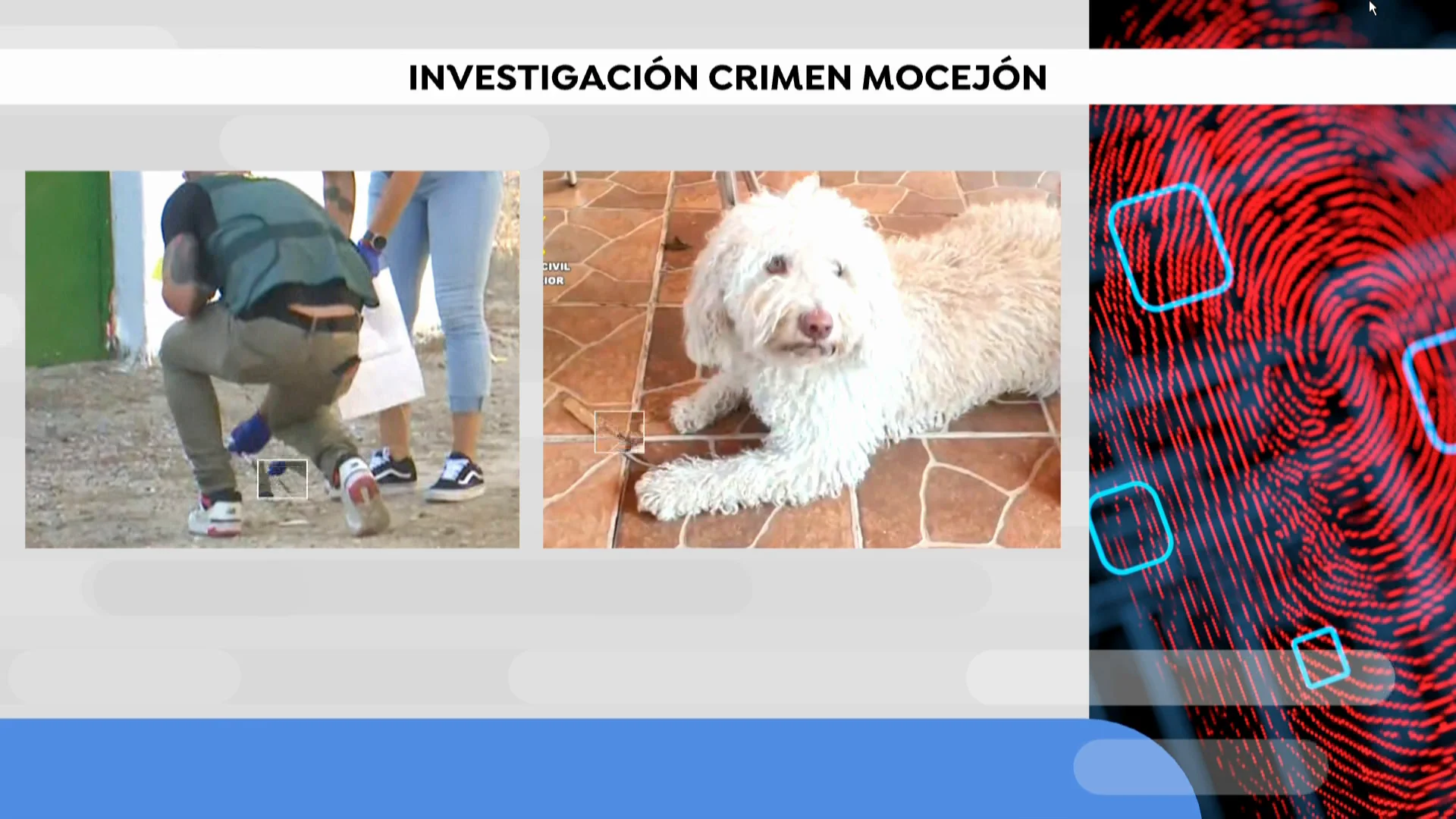 Novedades crimen Mocejón Novedades crimen Mocejón