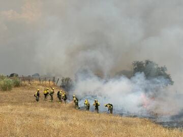 Bomberos trabajando en la extinción del incendio de Tres Cantos 