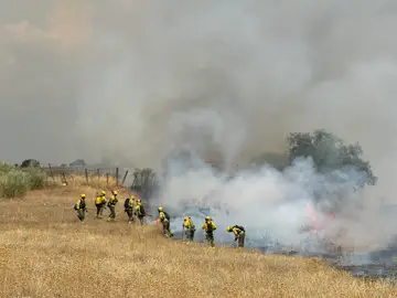 Bomberos trabajando en la extinción del incendio de Tres Cantos Bomberos trabajando en la extinción del incendio de Tres Cantos