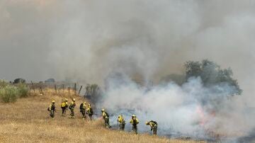 Bomberos trabajando en la extinción del incendio de Tres Cantos 