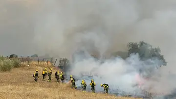 Bomberos trabajando en la extinción del incendio de Tres Cantos Bomberos trabajando en la extinción del incendio de Tres Cantos