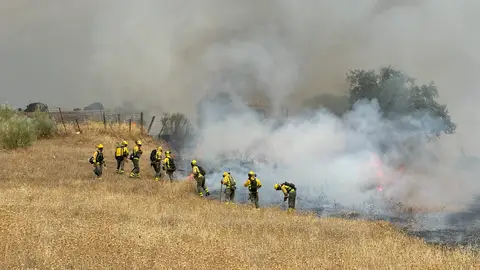 Bomberos trabajando en la extinción del incendio de Tres Cantos  Bomberos trabajando en la extinción del incendio de Tres Cantos