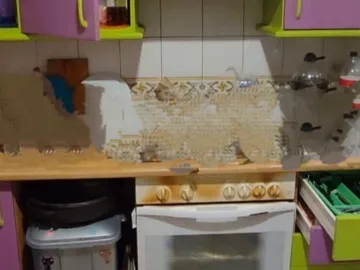 Ana ha pagado 11.000 euros por una reforma que no se ha llevado a cabo: "Desapareció tras el segundo pago" Ana ha pagado 11.000 euros por una reforma que no se ha llevado a cabo: "Desapareció tras el segundo pago"