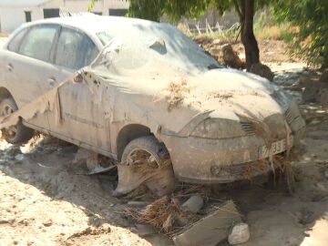 coche Trevelez