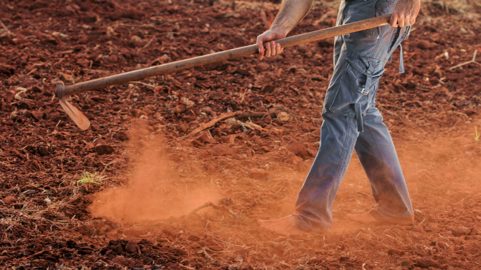 Los ganaderos y agricultores piden ayuda para prevenir los incendios: 