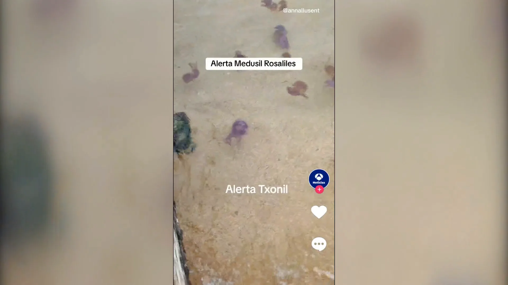 MEDUSAS ROSALIA