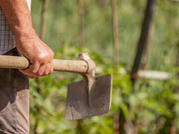 Mano de un agricultor con una azada en el campo