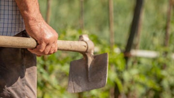 Mano de un agricultor con una azada en el campo