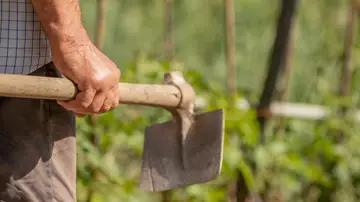 Mano de un agricultor con una azada en el campo Mano de un agricultor con una azada en el campo