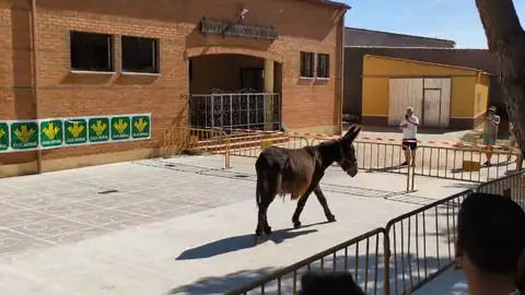 'La cagada de la burra' 'La cagada de la burra'