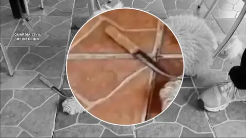 Cuchillo asesinato Mateo Cuchillo asesinato Mateo