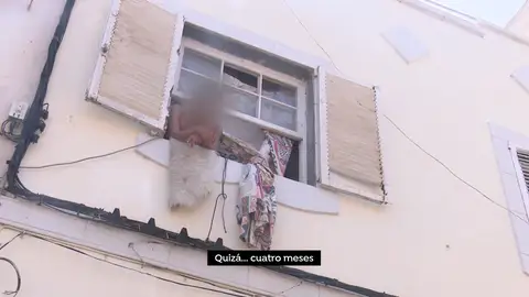 Okupas de la Orotava Okupas de la Orotava