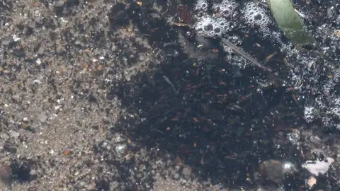 Las cenizas contaminan las aguas, también las subterráneas Las cenizas contaminan las aguas, también las subterráneas