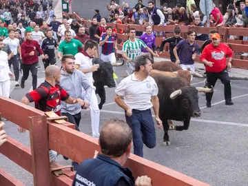 Fallece un hombre de 51 años corneado por un toro durante un evento en Mesones en El Casar (Guadalajara) Fallece un hombre de 51 años corneado por un toro durante un evento en Mesones en El Casar (Guadalajara)