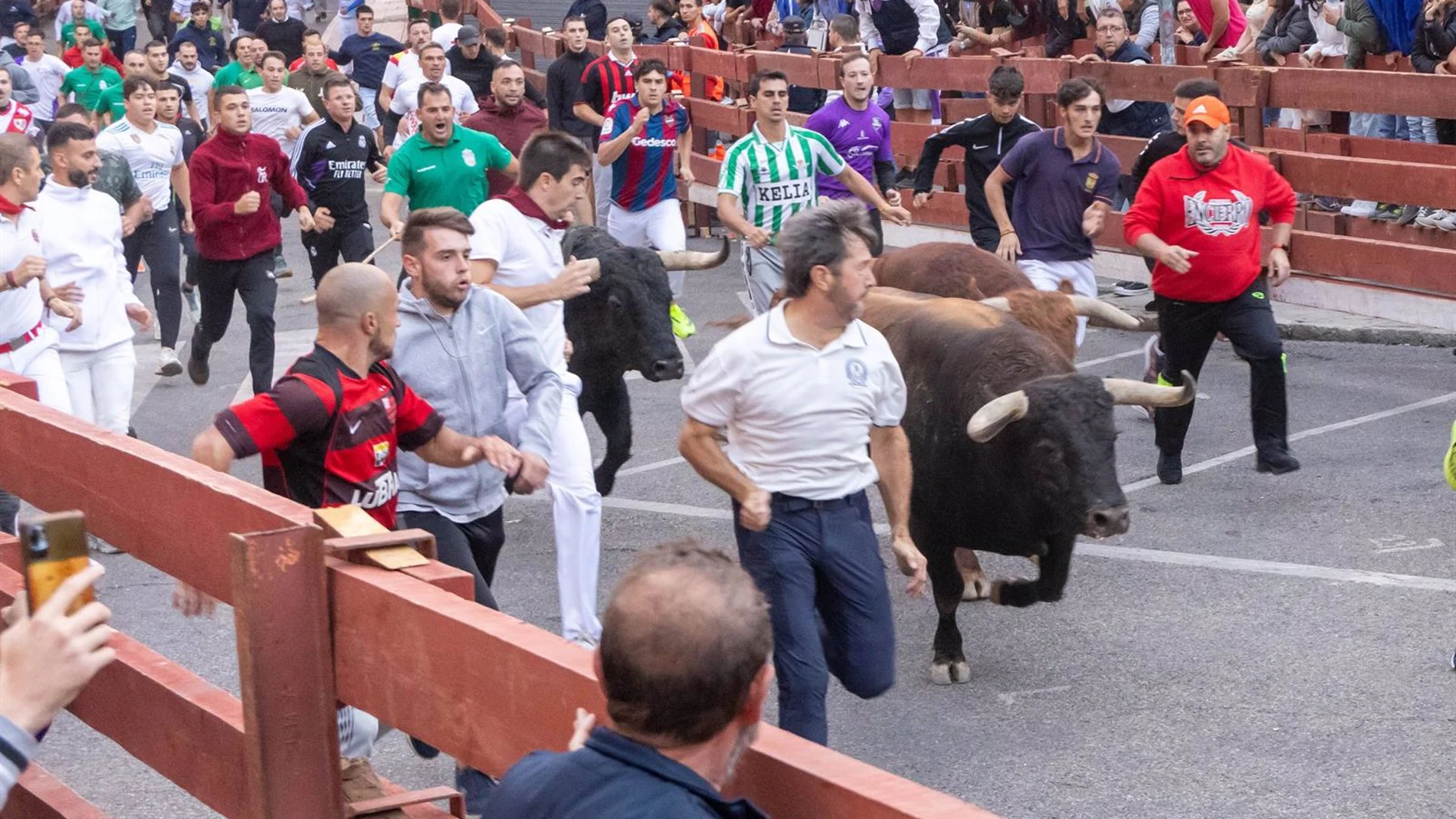 Fallece un hombre de 51 años corneado por un toro durante un evento en Mesones en El Casar (Guadalajara) Fallece un hombre de 51 años corneado por un toro durante un evento en Mesones en El Casar (Guadalajara)