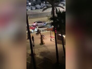 Una brutal paliza en el Paseo Marítimo de Palma deja a un joven herido