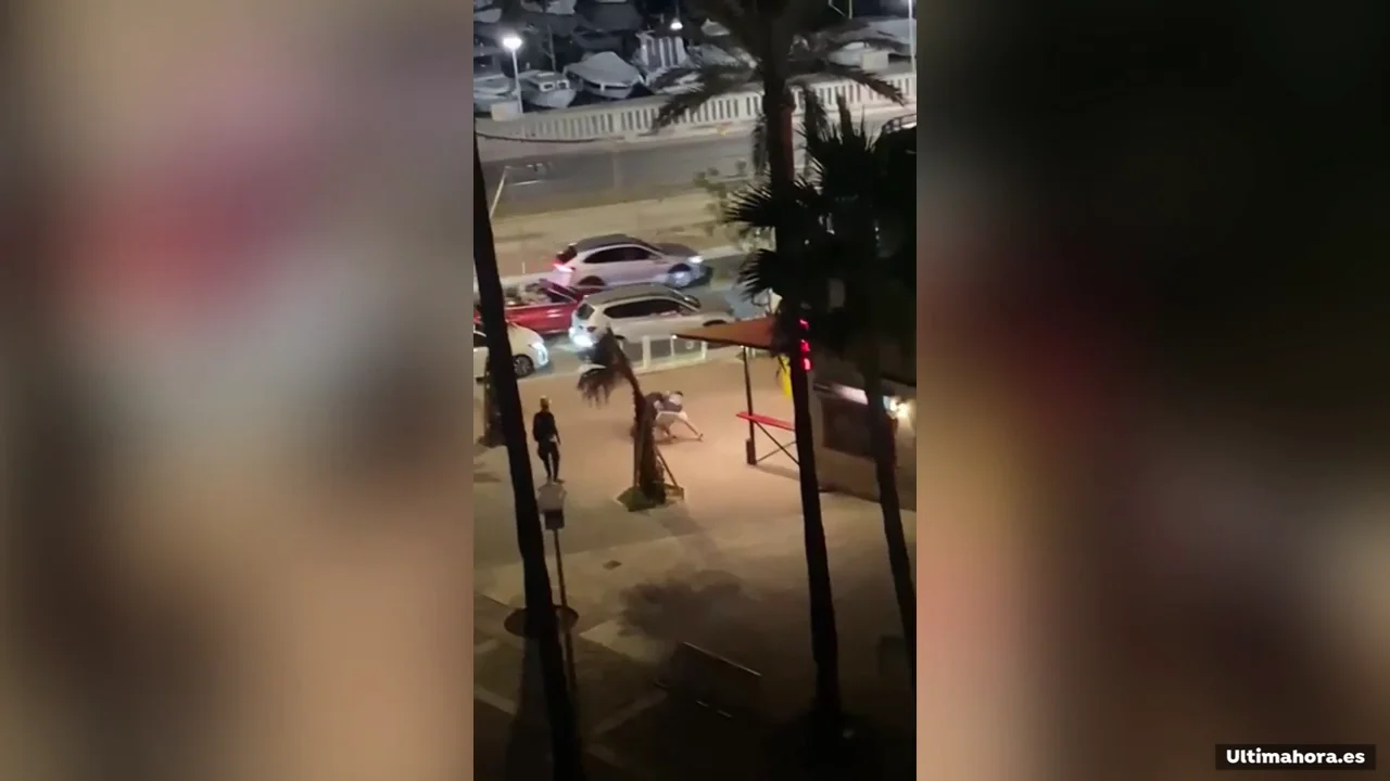 Una brutal paliza en el Paseo Mar&iacute;timo de Palma deja a un joven herido