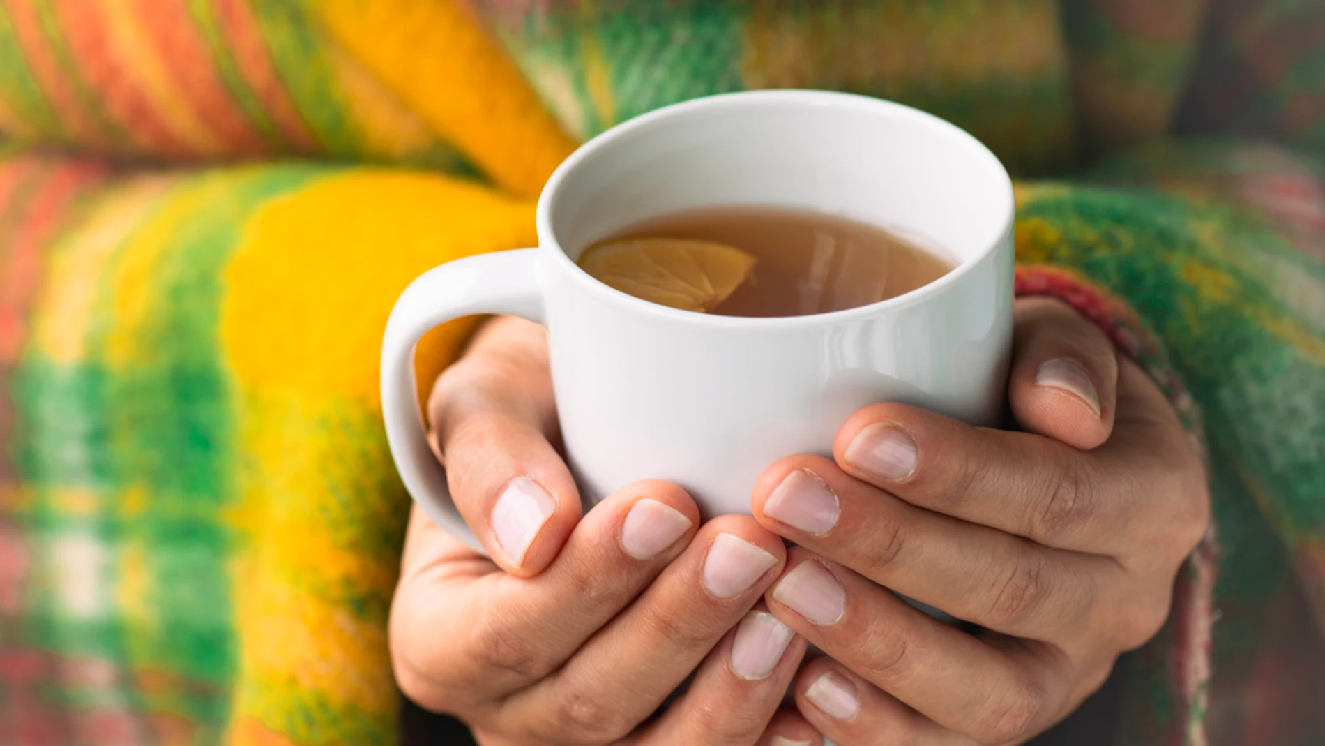 Imagen de una infusión Imagen de una infusión