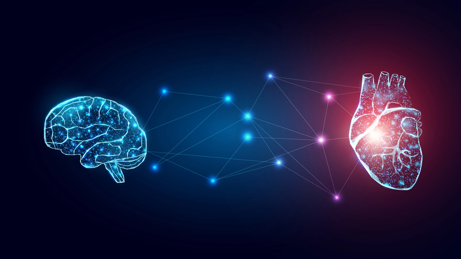 Corazón y cerebro conectados en futurista Corazón y cerebro conectados en futurista