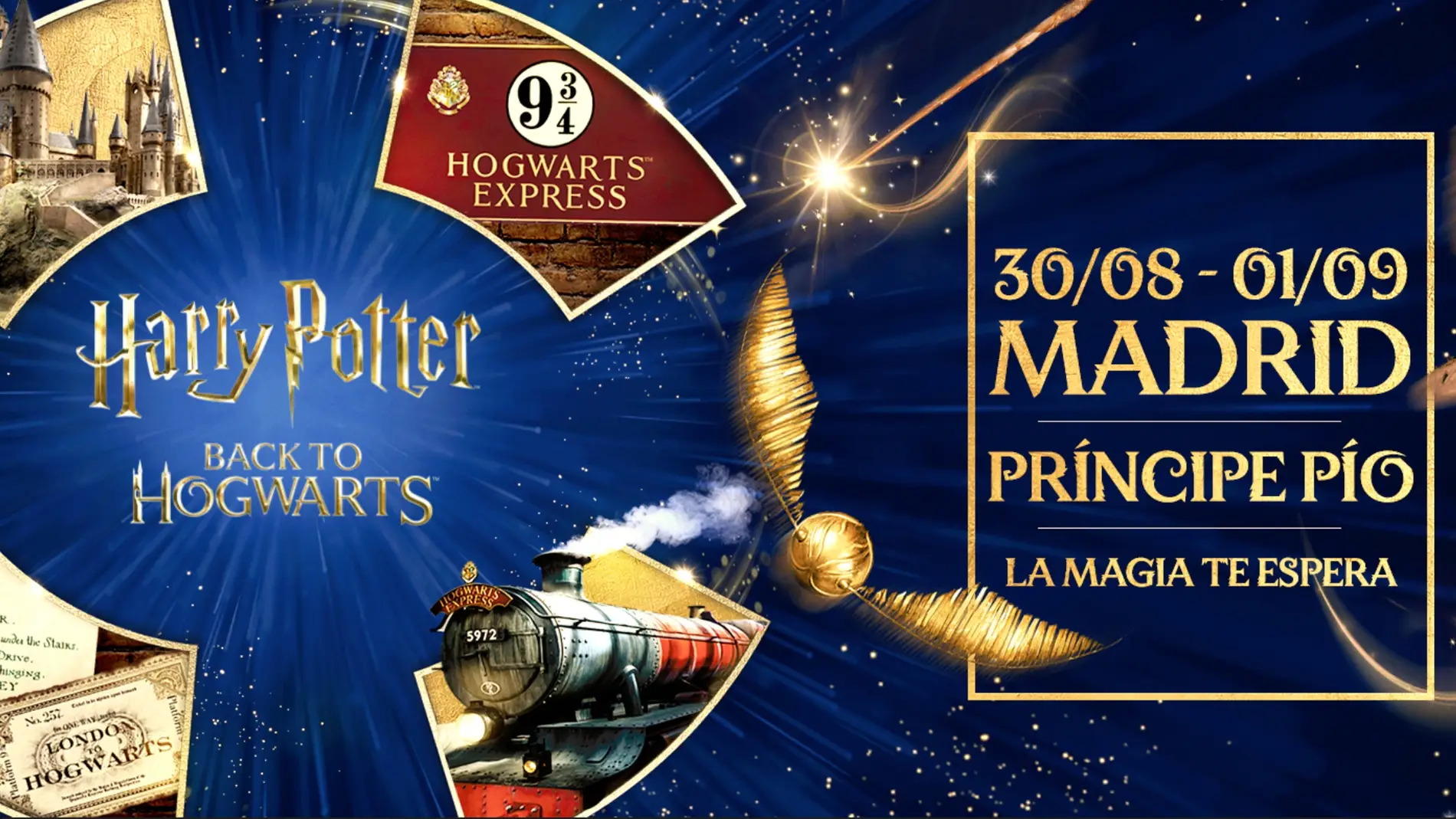 Evento Back to Hogwarts Evento Back to Hogwarts