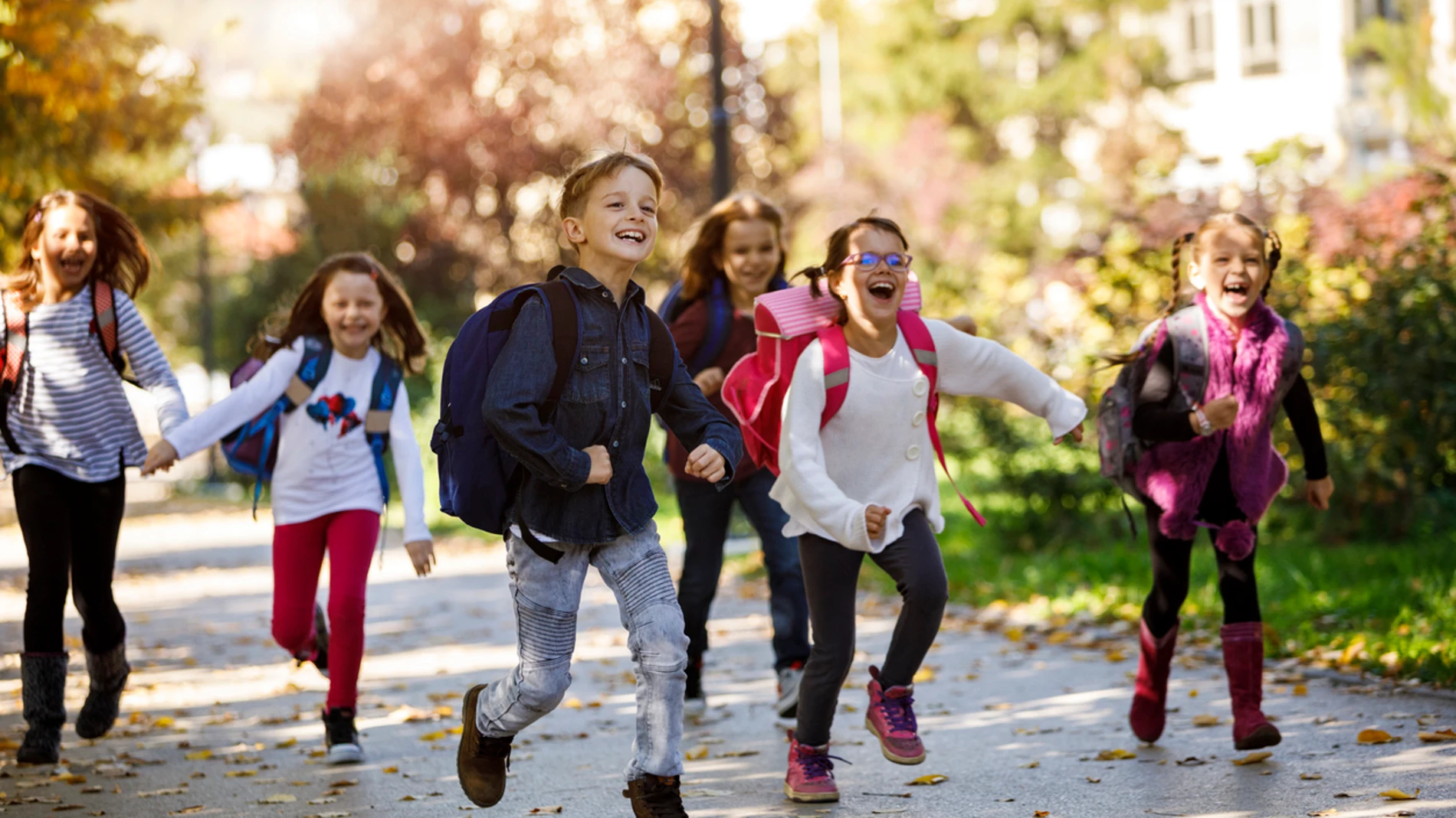 Vuelta al cole Vuelta al cole
