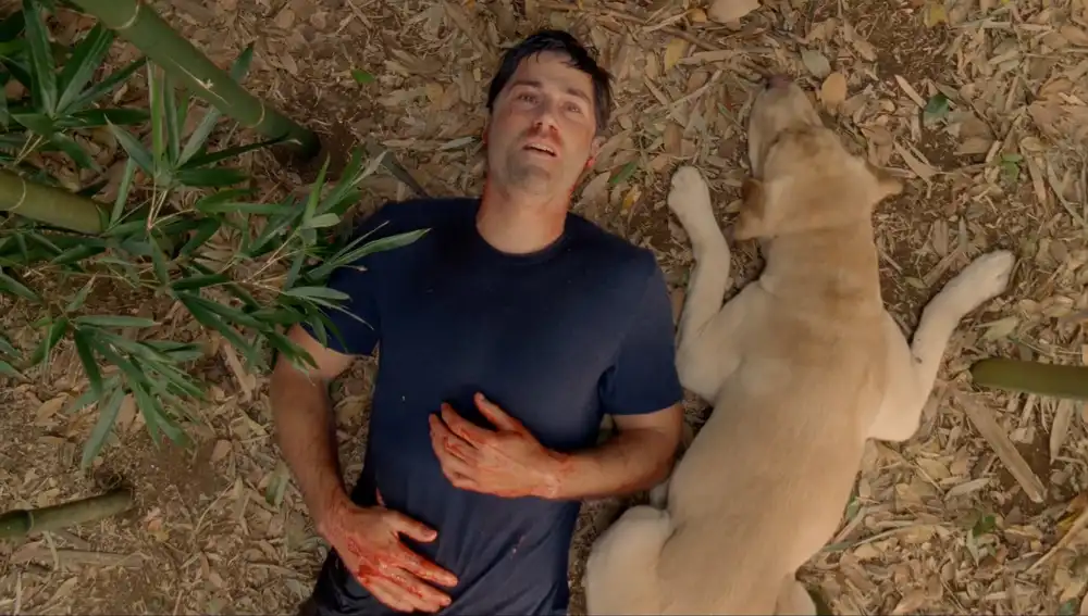 Jack Shephard (Matthew Fox) en Lost (Perdidos) Jack Shephard (Matthew Fox) en Lost (Perdidos)