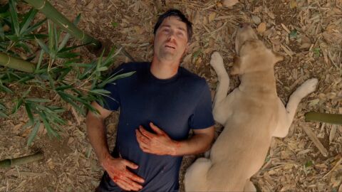Jack Shephard (Matthew Fox) en Lost (Perdidos)