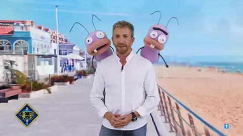 Hormiguero Hormiguero