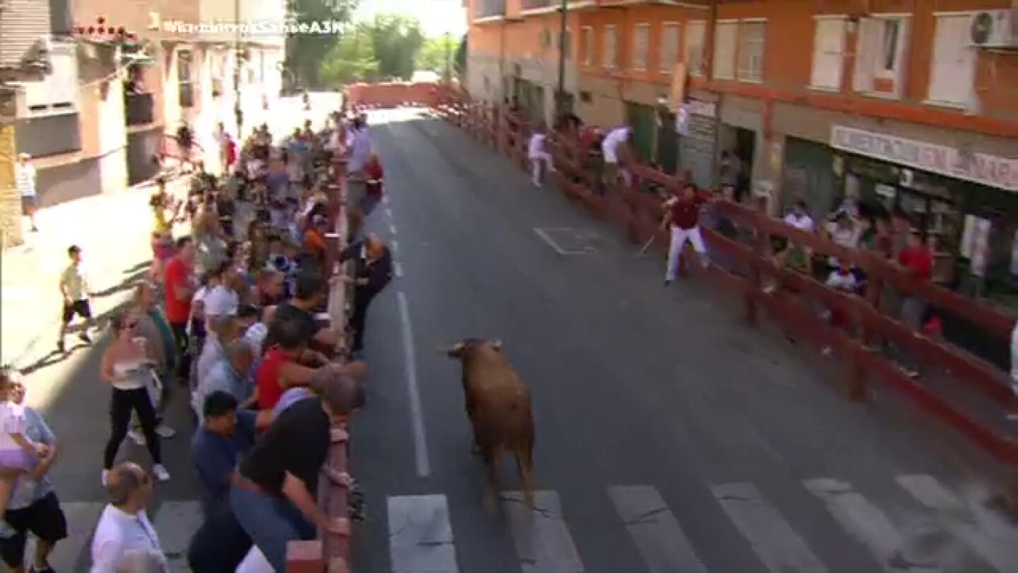 Toro dado la vuelta