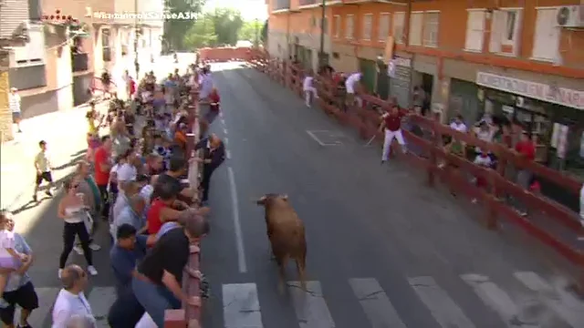 Toro dado la vuelta Toro dado la vuelta