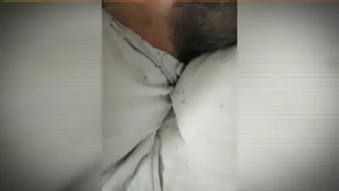 Ancianos invadidos por las hormigas Ancianos invadidos por las hormigas