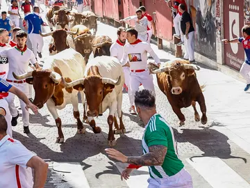 Encierro San Sebastián de los Reyes Encierro San Sebastián de los Reyes