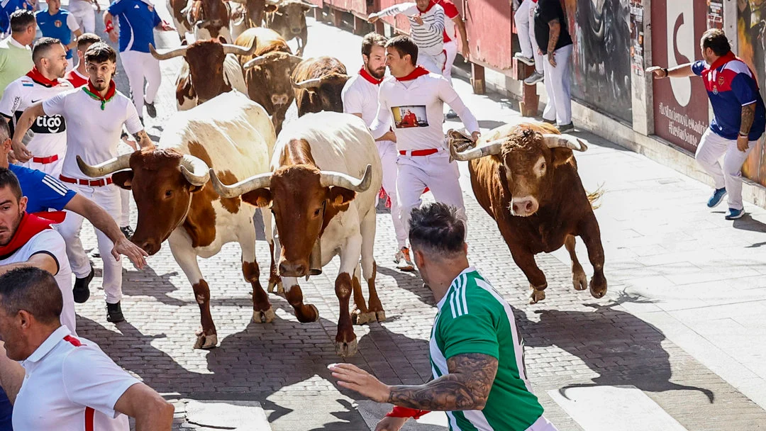 Encierro San Sebastián de los Reyes Encierro San Sebastián de los Reyes