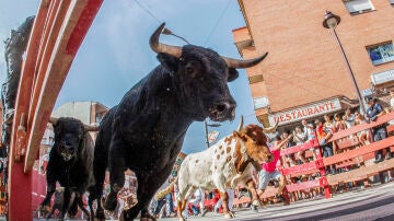 Encierro matutino de San Sebastián de los Reyes